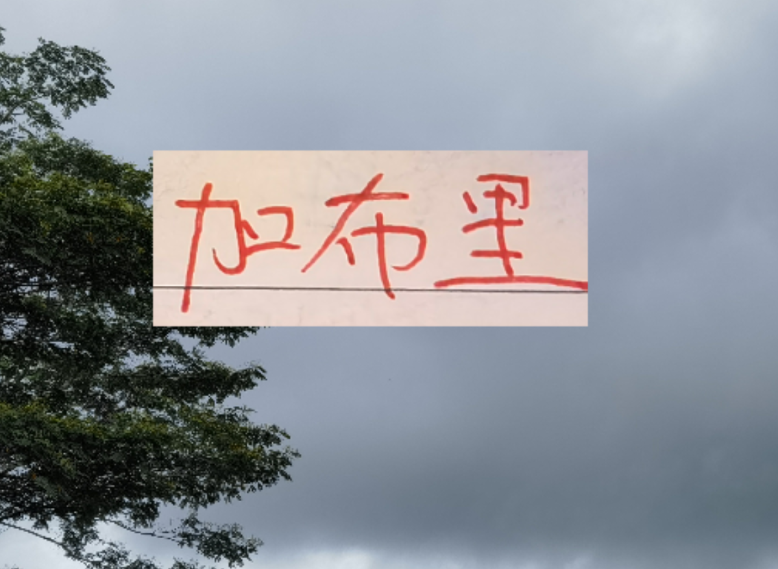 2026世界杯直播app下载-是走还是留? 海港加布里埃尔国内跟国外说法不一样